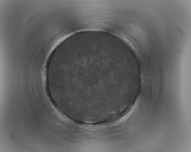 X0000112901077200908211511
