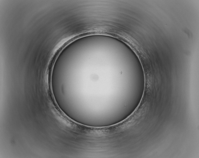 X0000112901078200908211511