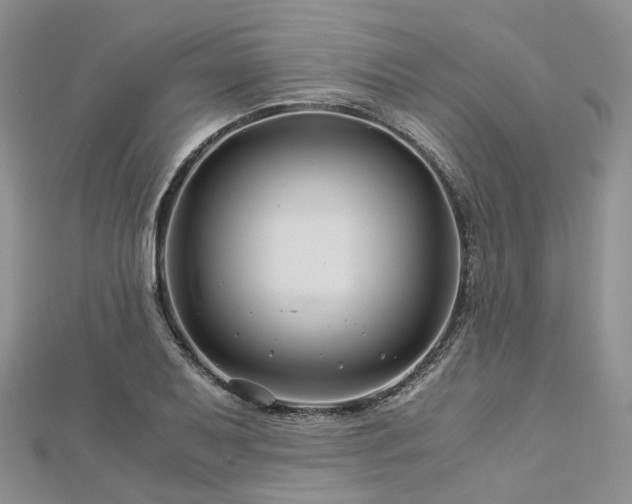 X0000112901079200908211511