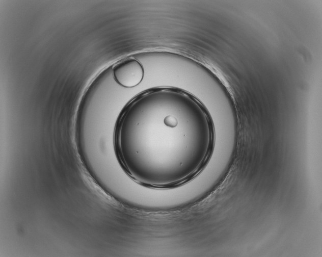 X0000112901080200908211511