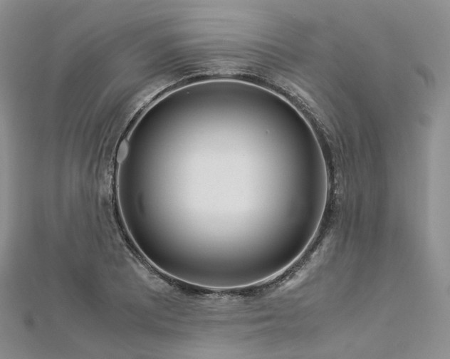 X0000112901081200908211511