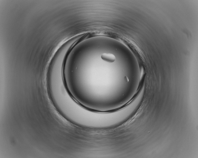 X0000112901083200908211511