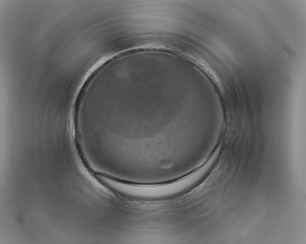 X0000112901084200908211511