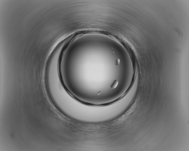 X0000112901085200908211511