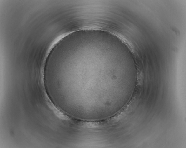 X0000112901086200908211511