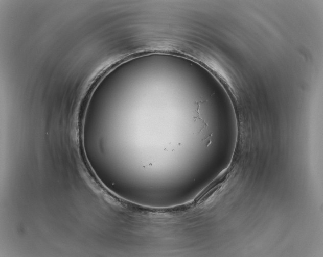 X0000112901088200908211511