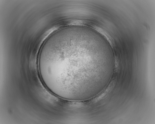 X0000112901090200908211511