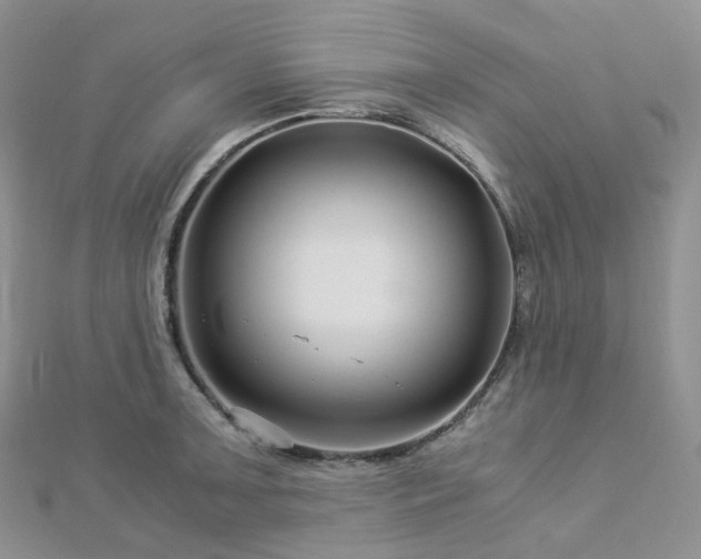 X0000112901091200908211511