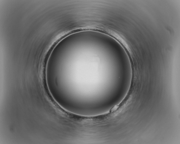 X0000112901093200908211511