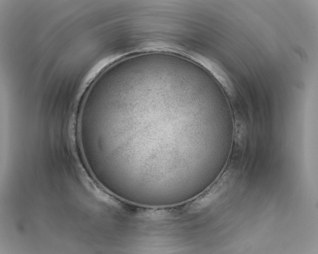 X0000112901094200908211511