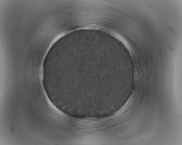 X0000112901095200908211511