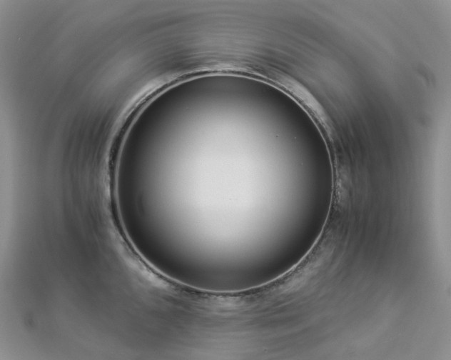 X0000112901096200908211511