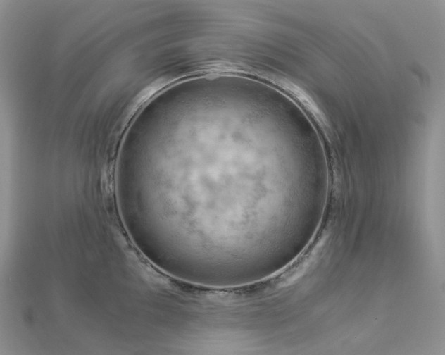 X0000112901097200908211511
