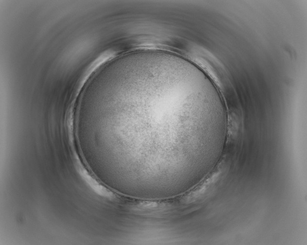 X0000112901098200908211511