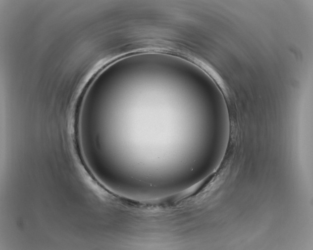 X0000112901099200908211510