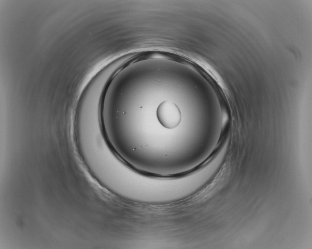 X0000112901101200908211510