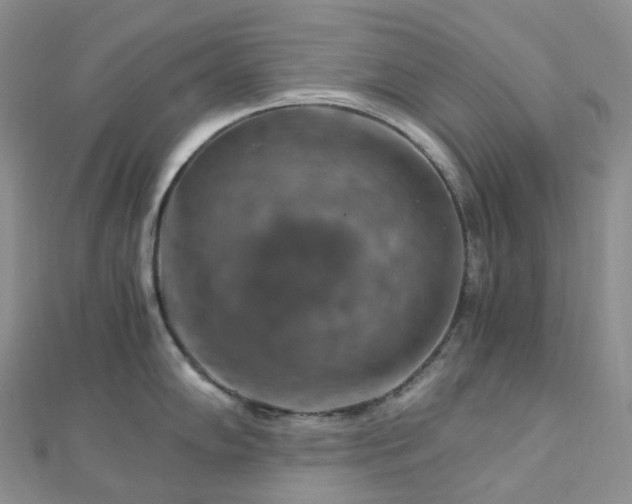 X0000112901102200908211510