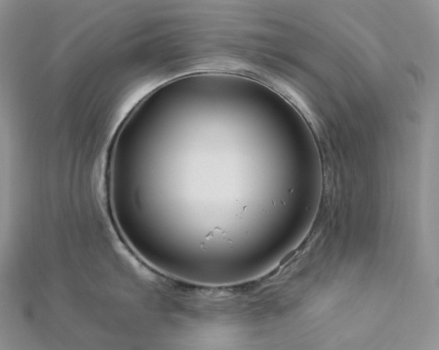 X0000112901103200908211510