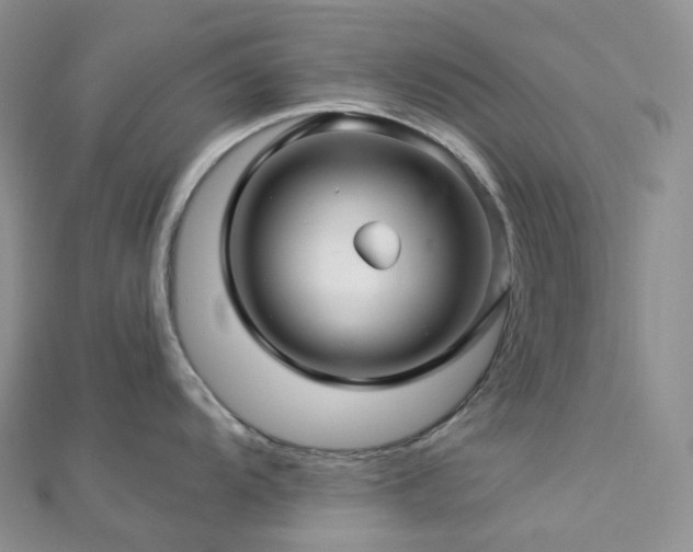 X0000112901104200908211510