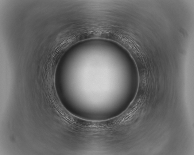 X0000112901105200908211510