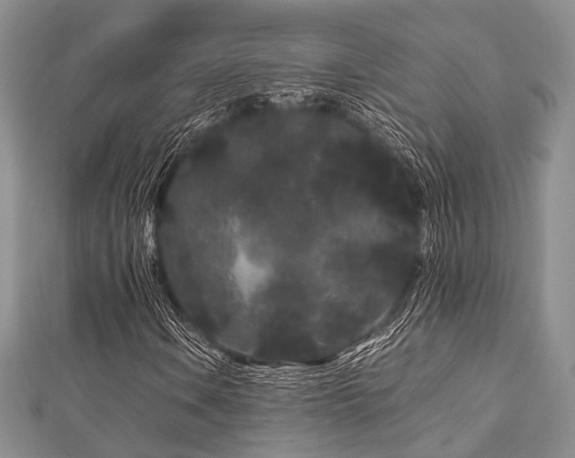 X0000112901106200908211510