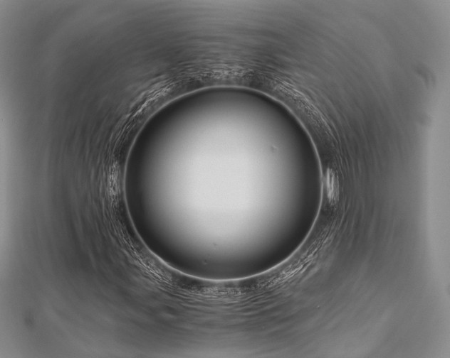 X0000112901107200908211510