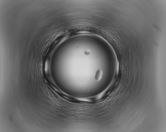 X0000112901108200908211510