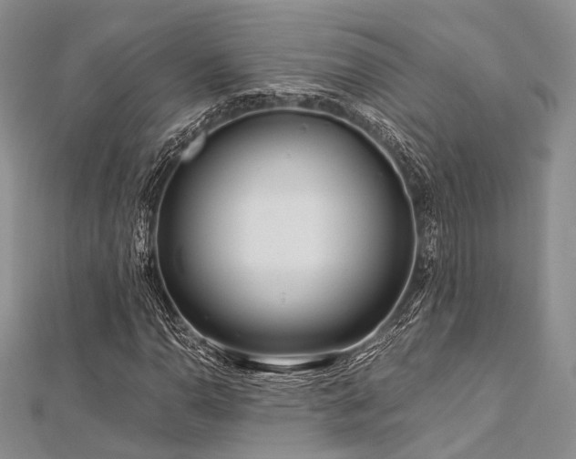 X0000112901110200908211510