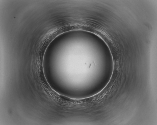 X0000112901111200908211510