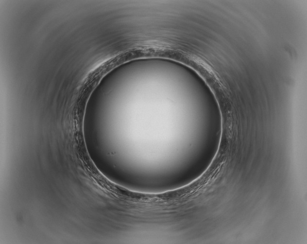 X0000112901112200908211510