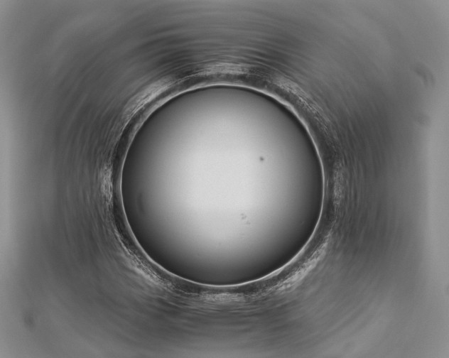 X0000112901113200908211510