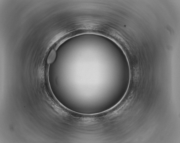X0000112901114200908211510