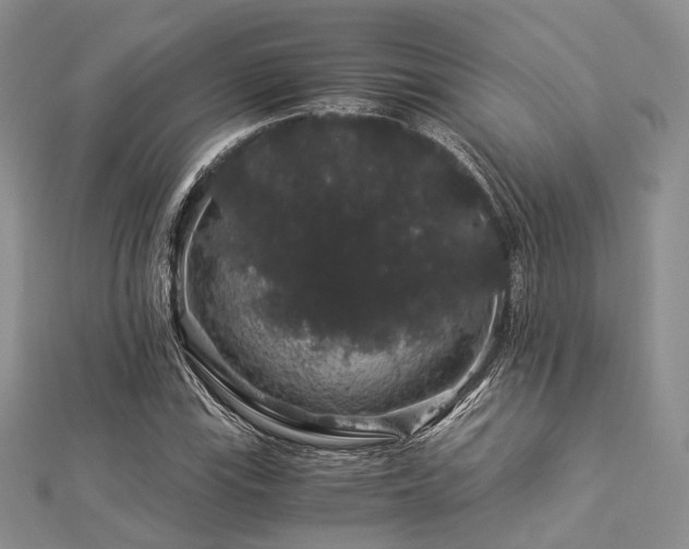 X0000112901115200908211510