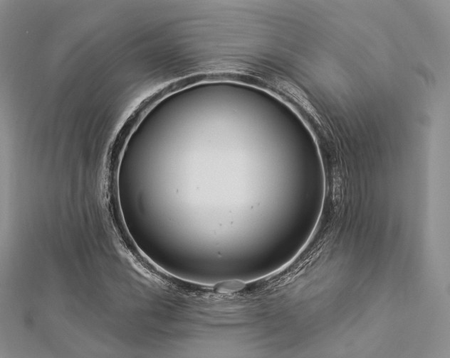 X0000112901116200908211510