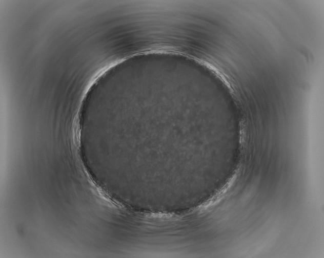 X0000112901117200908211510