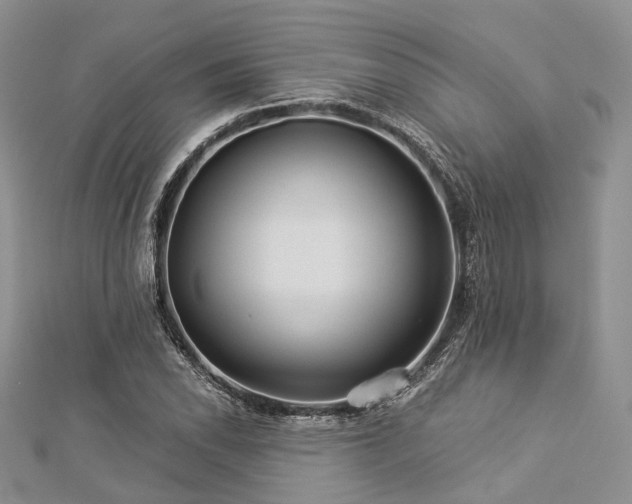 X0000112901118200908211510