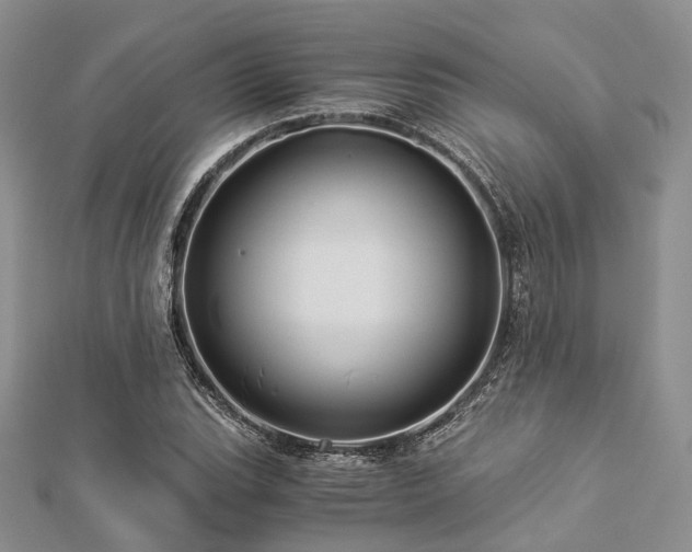X0000112901119200908211510