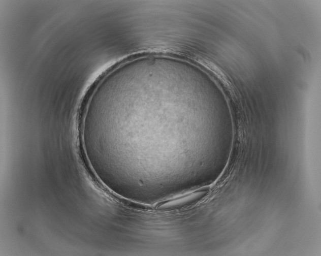X0000112901120200908211510