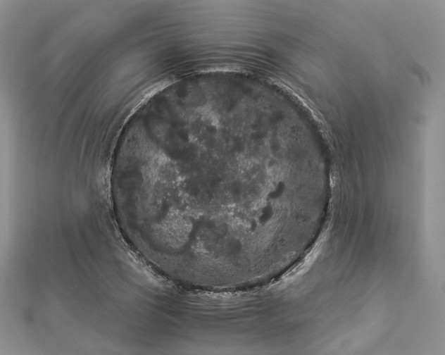 X0000112901121200908211510