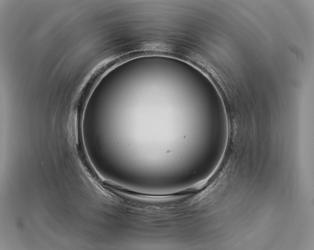 X0000112901123200908211510