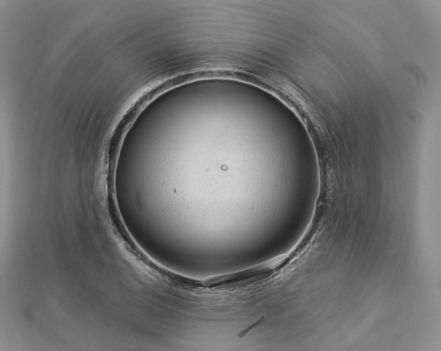 X0000112901124200908211510