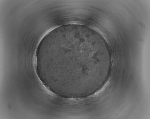 X0000112901125200908211510