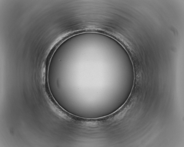 X0000112901126200908211510