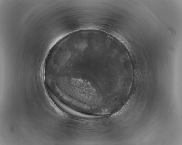 X0000112901127200908211510