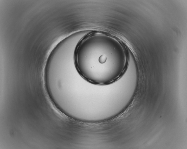 X0000112901128200908211510