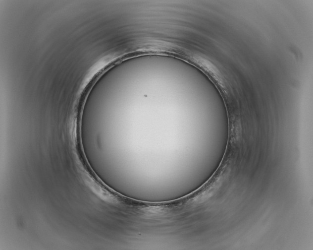X0000112901130200908211510