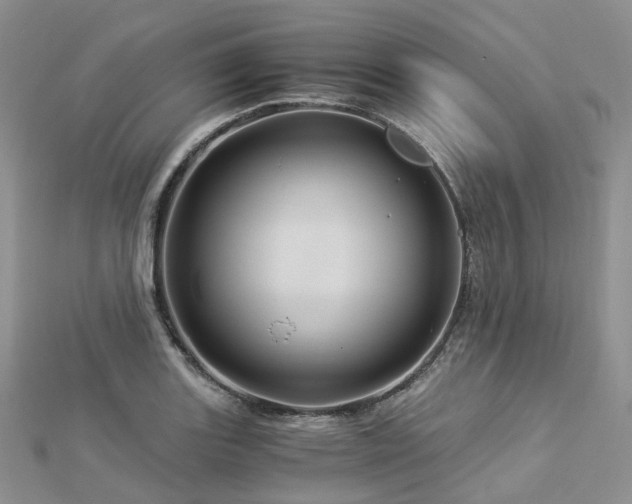 X0000112901131200908211510