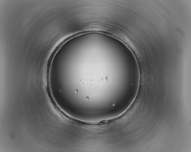 X0000112901132200908211510