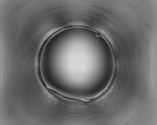 X0000112901133200908211510