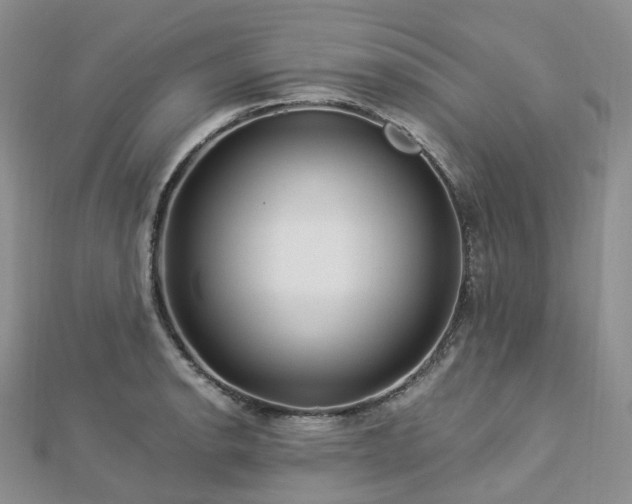 X0000112901134200908211510